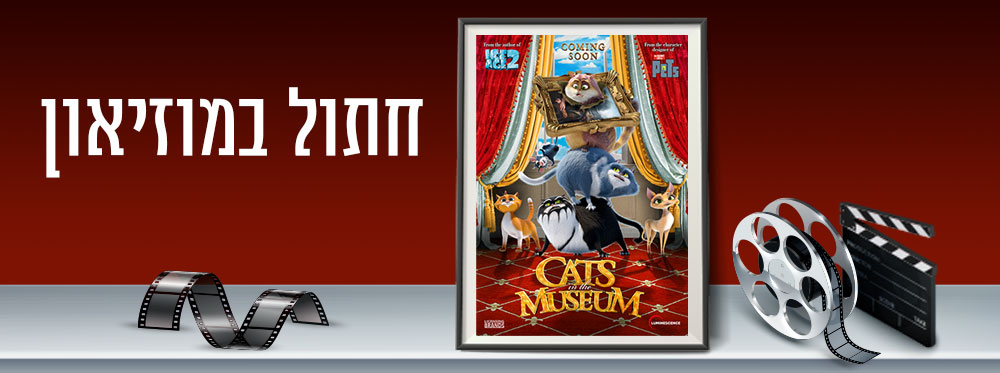 חתול במוזיאון | Cat in the museum