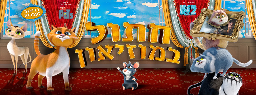 חתול במוזיאון |  Cat in the museum